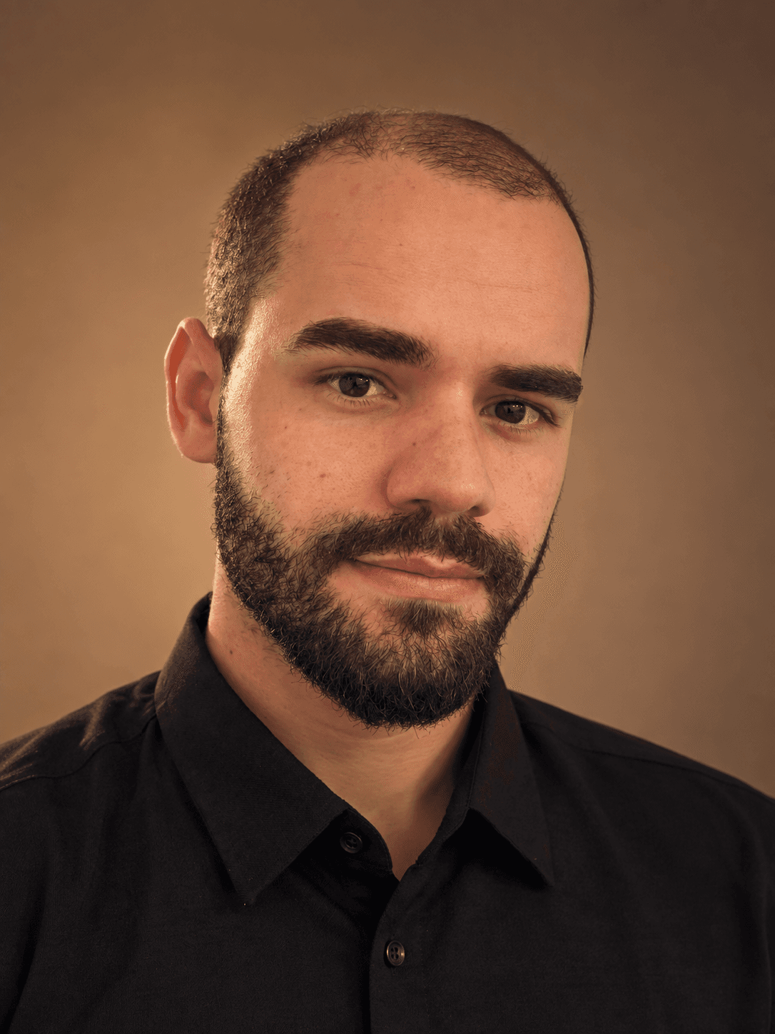 Portrait of the software engineer